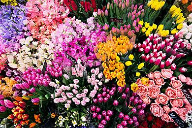 PC游戏展：2023预览节目将于11月18日举行