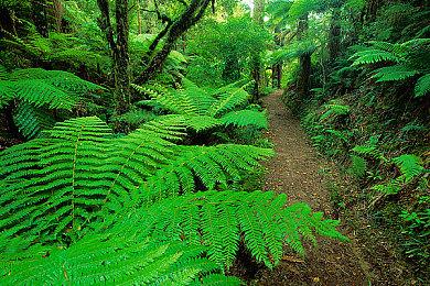 《伊苏10》Steam版品控翻车下架停售 官方接受玩家退款